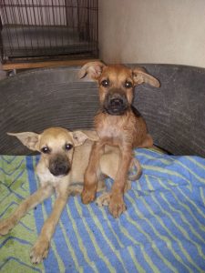 13451090_10208322063704106_861301540_n