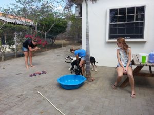 13451162_10208298358231484_308636831_n