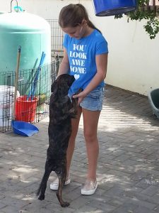 13453634_10208298358271485_1678223275_n