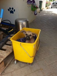 13453846_10208325159901509_6110831_n