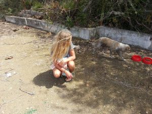 13453992_10208322007822709_1081162708_n