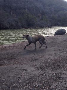 13473815_1154923877899580_2040487736_n