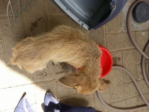 13479624_10208325156941435_1027789273_n