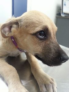 13492822_10208376902915052_1942634719_n