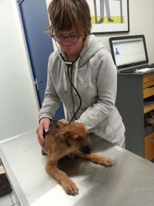 13530685_10208376902795049_266158266_n