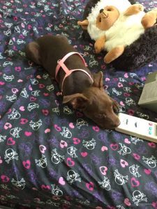 13617958_10208505079679391_1481318968_n