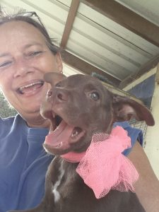 13618051_10208499649423638_988326373_n