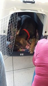 13624591_10208504844473511_1681334570_n