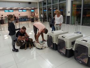 13624696_10208499652503715_1032775140_n