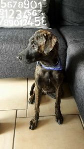 13624993_10208504835753293_1415414482_n