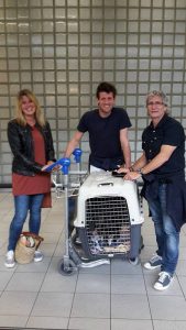 13625074_519578861566555_425915429_n