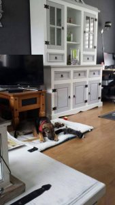 13625320_10208504843513487_929584310_n