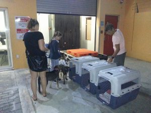 13643935_10208499652783722_1738085125_n