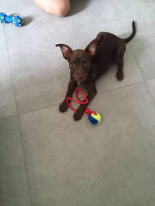 13644211_10208505070679166_94121672_n