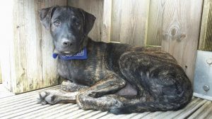 13649659_10208504844593514_1333880229_n