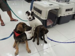 13650339_10208499652903725_1466810020_n