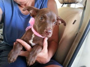 13652347_10208499649143631_789924074_n