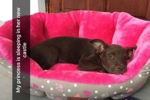 13664797_10208505077279331_822477965_n