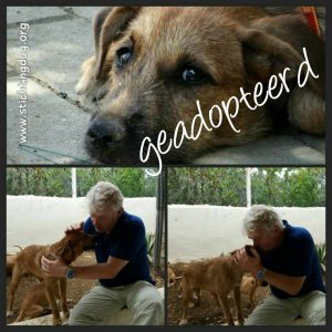 14572878_567656026759621_2904923560384765840_n