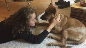 14646600_10209299222812473_2086612852_o