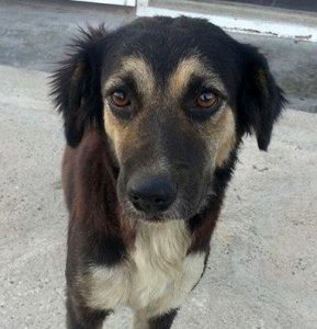 12825378_10207491419178512_236387318_n