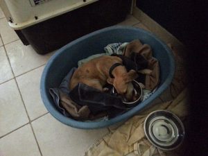 13650434_10208638828583030_1398128030_n