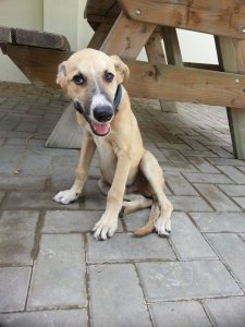 13664657_10208644539965811_539549715_n