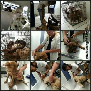 13706152_10208532646848553_1685421336_n