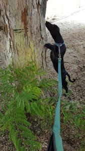 13713248_10208568898674826_698166436_n