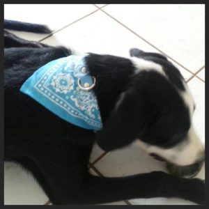 13734553_10208620201677369_696859118_n