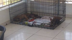 13735368_10208569002517422_960307344_n