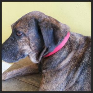 13814529_10208620071114105_235189010_n