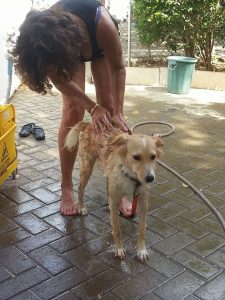 13814642_10208620069154056_878356857_n