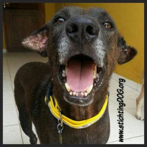 13814981_10208620071474114_1323461356_n