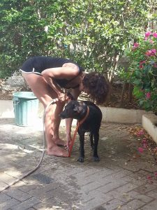 13815008_10208620069034053_894429931_n