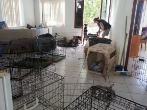 13815116_10208620068634043_1482724035_n