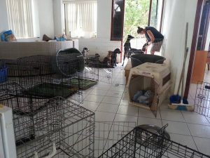 13816775_10208620068554041_1698542767_n