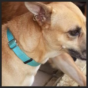 13817173_10208620201877374_1433206463_n