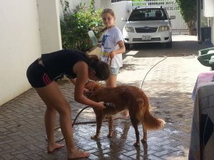 13817224_10208620069114055_951398225_n