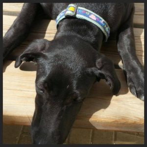 13817268_10208620201837373_1678804708_n