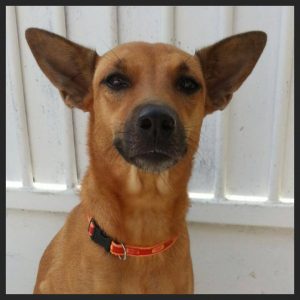 13819786_10208620071234108_544762648_n