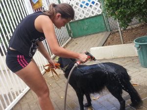 13820321_10208620069274059_1099476534_n