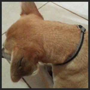 13820375_10208620201997377_2094865056_n