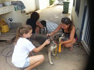 13820849_10208620068994052_1998669895_n