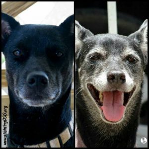 13823215_10208616280339338_45302592_n