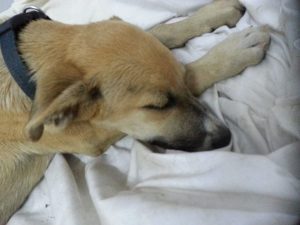 13866819_10208638828983040_1340046907_n