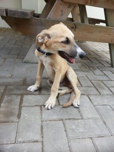 13871944_10208644540045813_1697042375_n