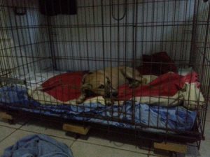 13872430_10208639401077342_1617471758_n