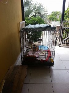 13872595_10208678170086543_687802962_n