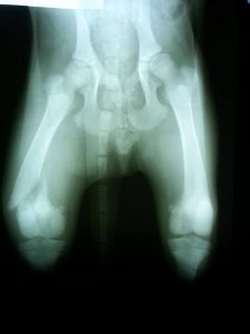 13874668_10208639401597355_1144416292_n